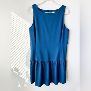 Size 14 Blue Banana Republic Dress